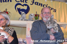 Schow Antwerpen 2023 385