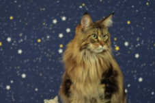 img 3447