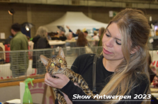 Schow Antwerpen 2023 318