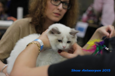 antw 2015 187