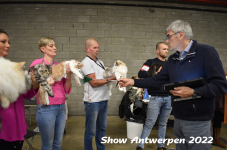 Antwerp 2022163