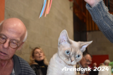 Arendonk 2024 410
