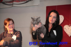 bcf antw 2010 249