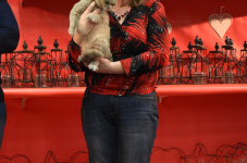 Katttenshow Arendonk 2020 DSC 0472