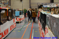 turnhout 2019-0295