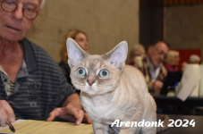 Arendonk 2024 409