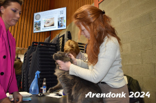Arendonk 2024 083