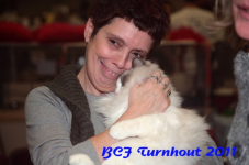 bcf antw 2010 168