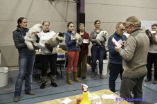  bcf ant 201151