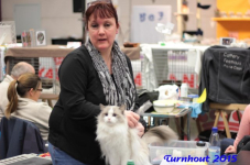 turnhout20150040