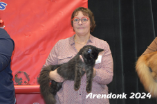 Arendonk 2024 459