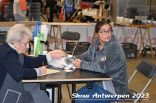 Schow Antwerpen 2023 324
