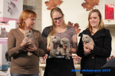 antw 2015 249