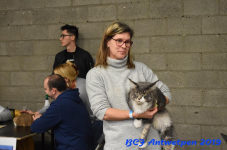 Antwerpen 2019DSC 0238