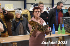 Laakdal 2023 423