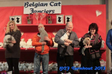 turnhout 2013 img 9960