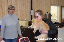 Laakdal 2023 145