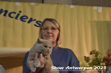 Schow Antwerpen 2023 420