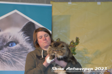 Schow Antwerpen 2023 378