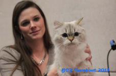 turnhout 2013 img 0042
