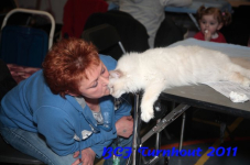 bcf antw 2010 179