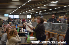 Schow Antwerpen 2023 331