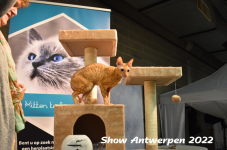 Antwerp 2022392