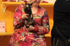 turnhout20150335