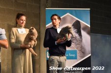 Antwerp 2022339