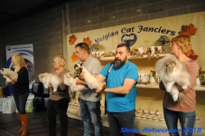 antwerp 2018 0139
