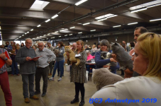 Antwerpen 2019DSC 0344