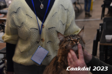Laakdal 2023 214