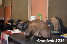 Arendonk 2024 433