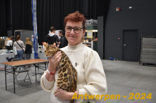 Antwerpen 238