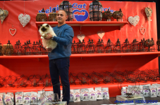 Katttenshow Arendonk 2020 DSC 0345