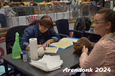 Arendonk 2024 204