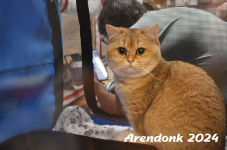 Arendonk 2024 185