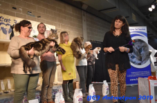 Antwerpen 2019DSC 0457