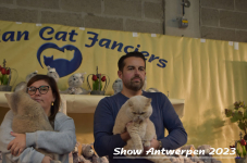 Schow Antwerpen 2023 357