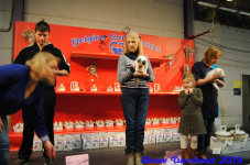 turnhout 2019-0216