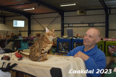 Laakdal 2023 284