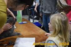 Antwerpen 051