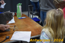 Antwerpen 052