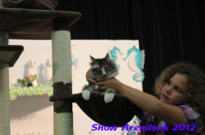 arendonk 2012 328