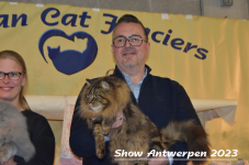 Schow Antwerpen 2023 428