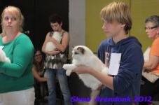 arendonk 2012 273