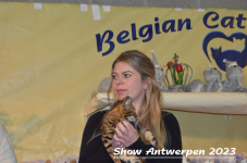 Schow Antwerpen 2023 371