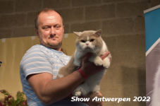 Antwerp 2022198