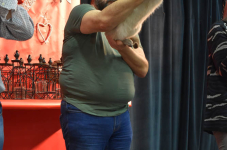 Katttenshow Arendonk 2020 DSC 0307