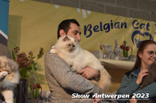 Schow Antwerpen 2023 299